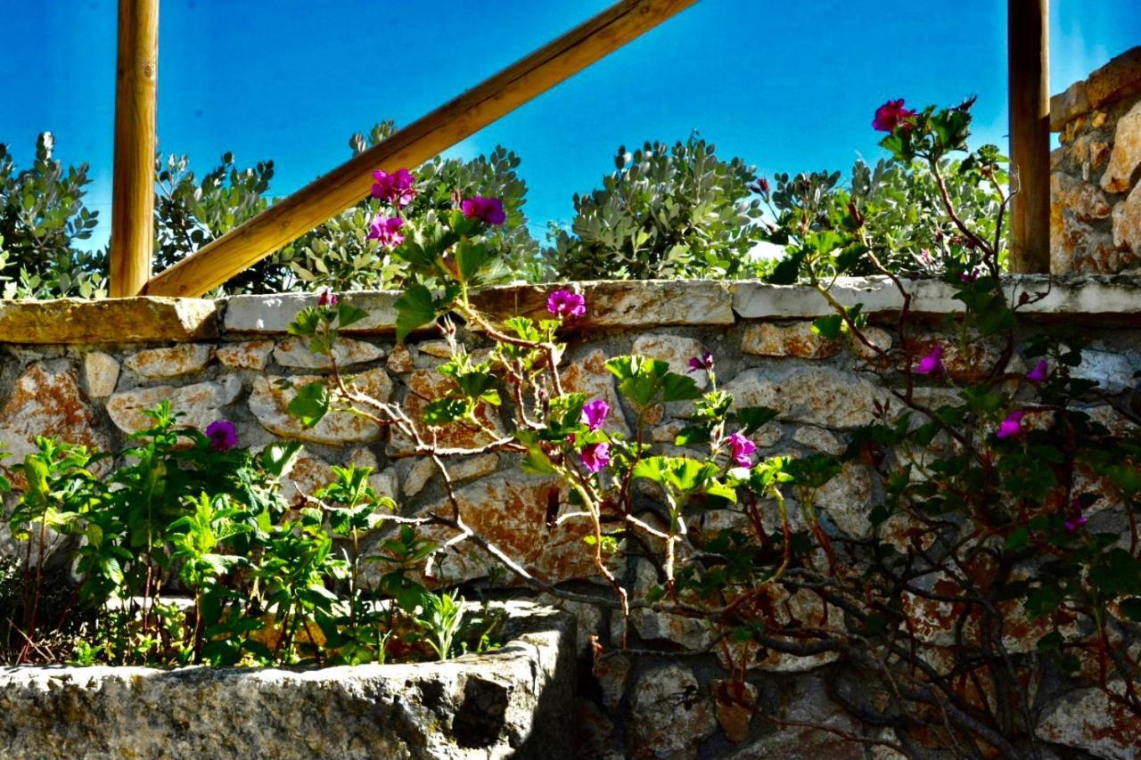 فيلا Feudo Giglio Country Charme كالاتافيمي المظهر الخارجي الصورة